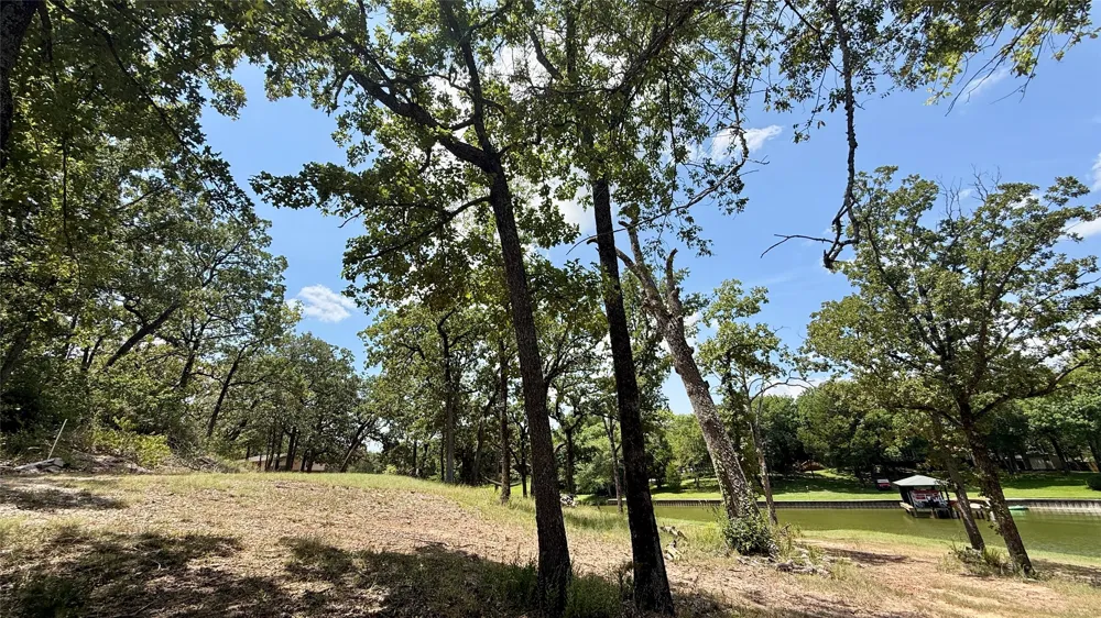 Cambridge Drive Streetman, TX 75859