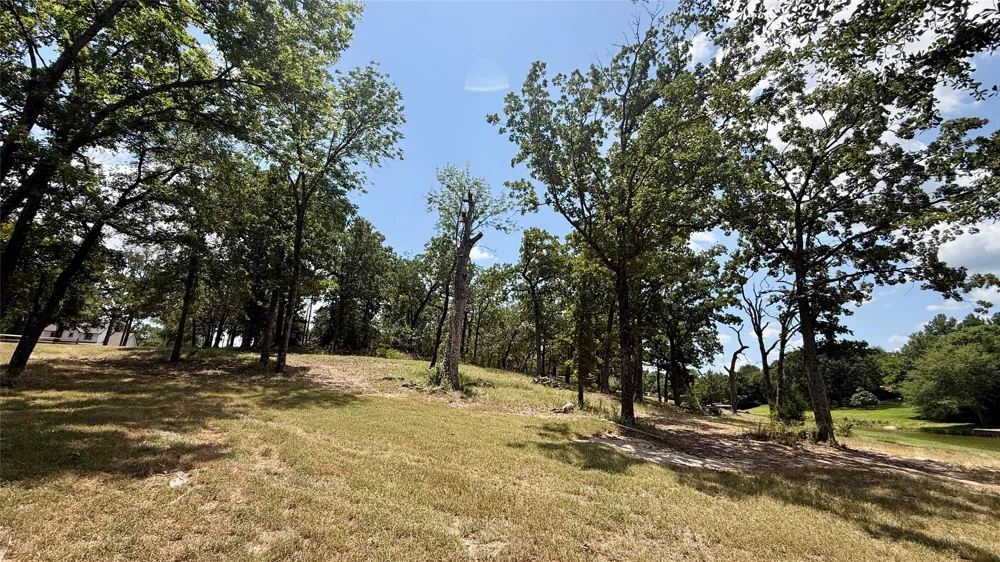 Cambridge Drive Streetman, TX 75859