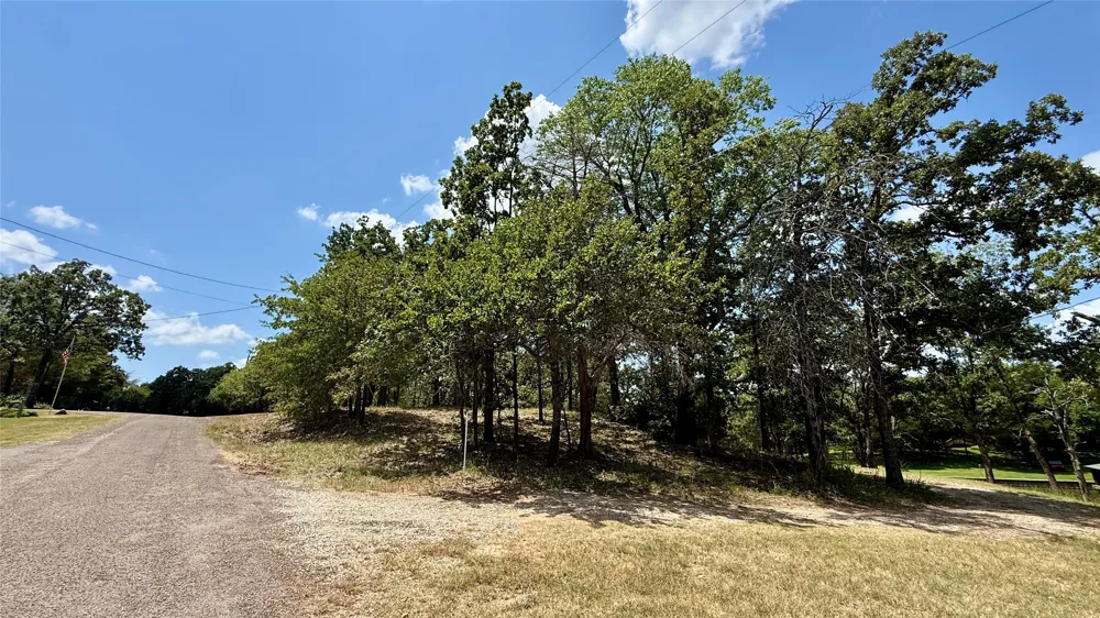 Cambridge Drive Streetman, TX 75859