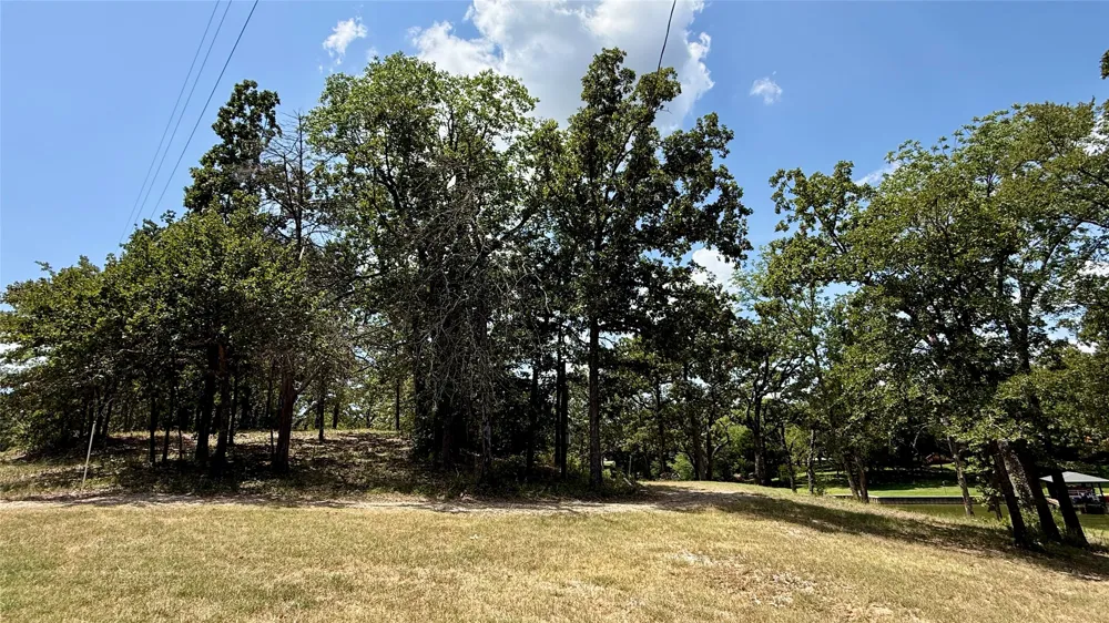 Cambridge Drive Streetman, TX 75859