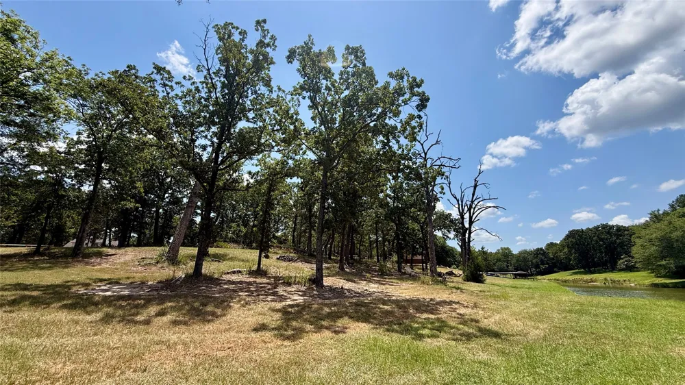 Cambridge Drive Streetman, TX 75859