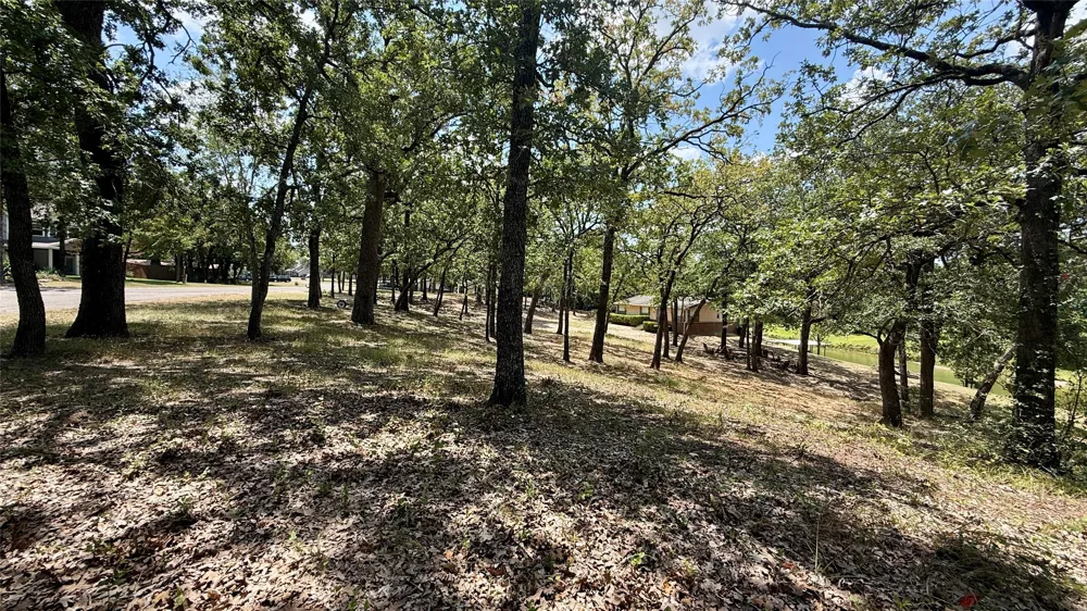 Cambridge Drive Streetman, TX 75859