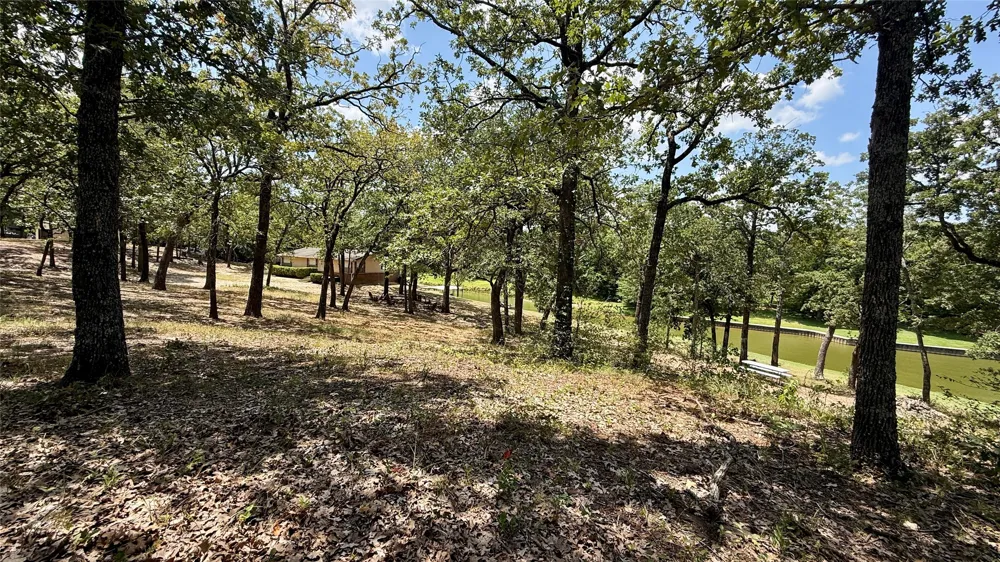 Cambridge Drive Streetman, TX 75859