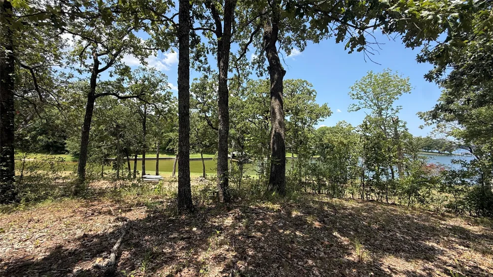 Cambridge Drive Streetman, TX 75859