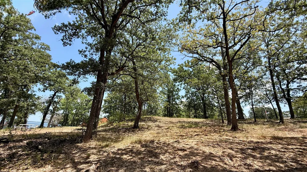 Cambridge Drive Streetman, TX 75859