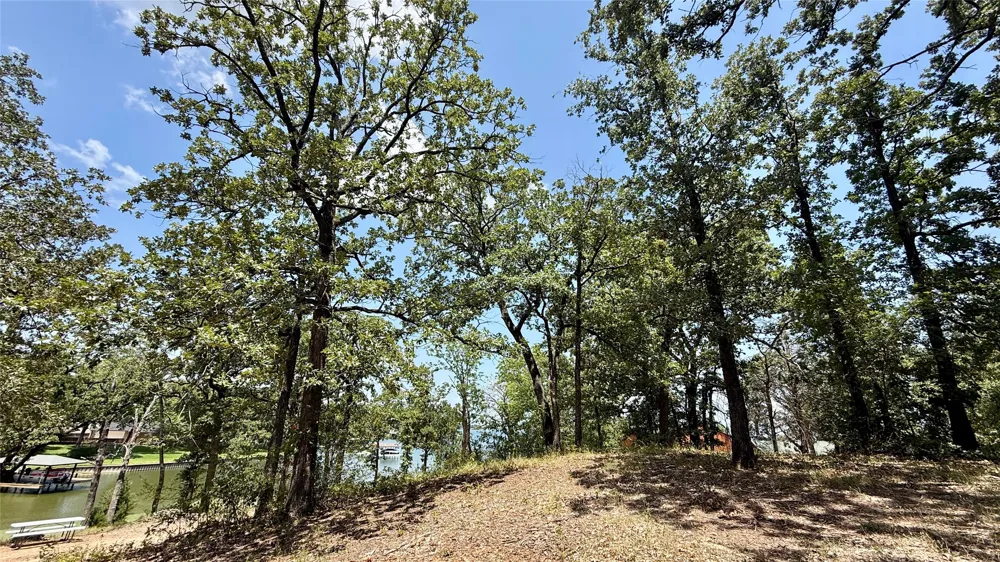 Cambridge Drive Streetman, TX 75859