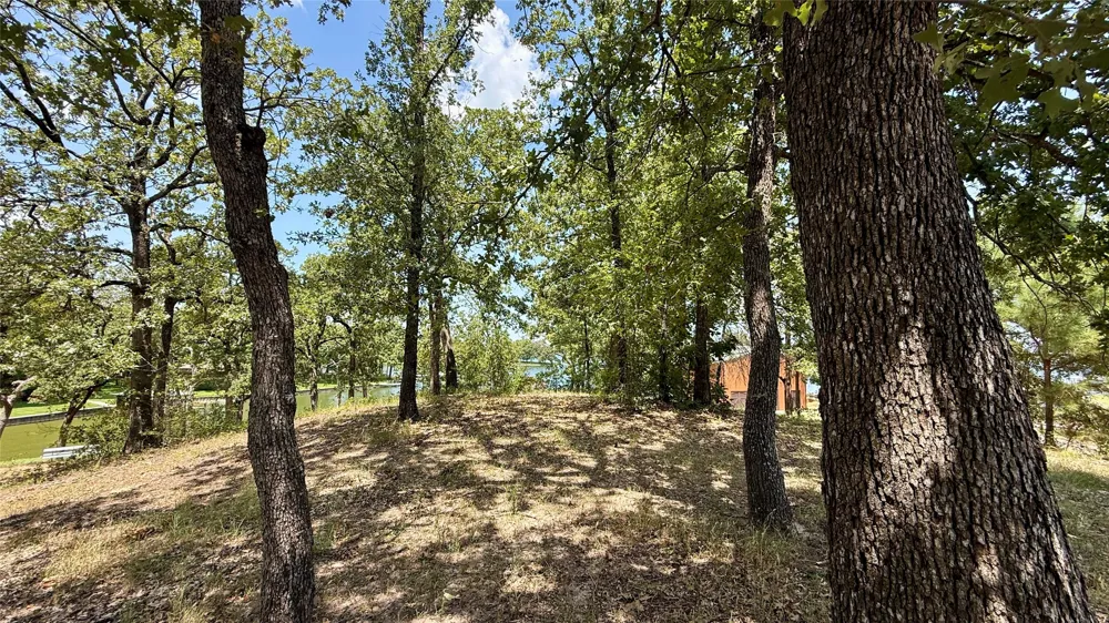 Cambridge Drive Streetman, TX 75859
