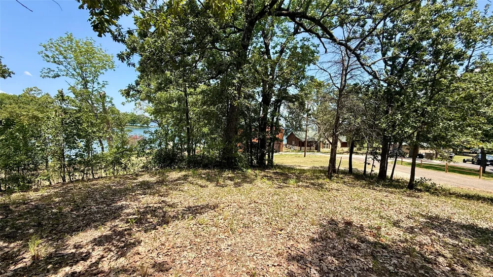 Cambridge Drive Streetman, TX 75859