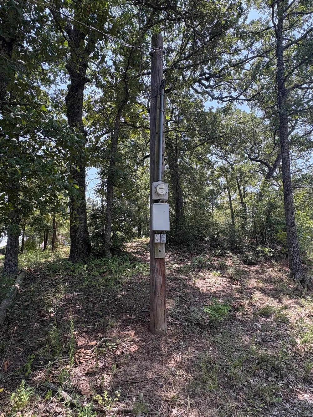 Cambridge Drive Streetman, TX 75859