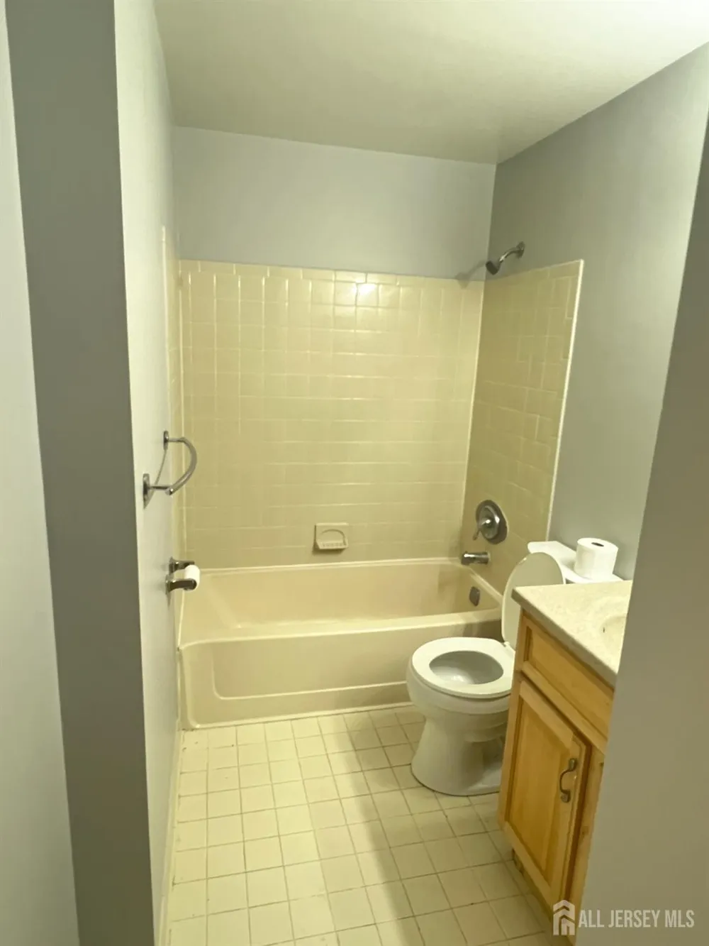 1315 Ravens Crest Drive Plainsboro, NJ 08536