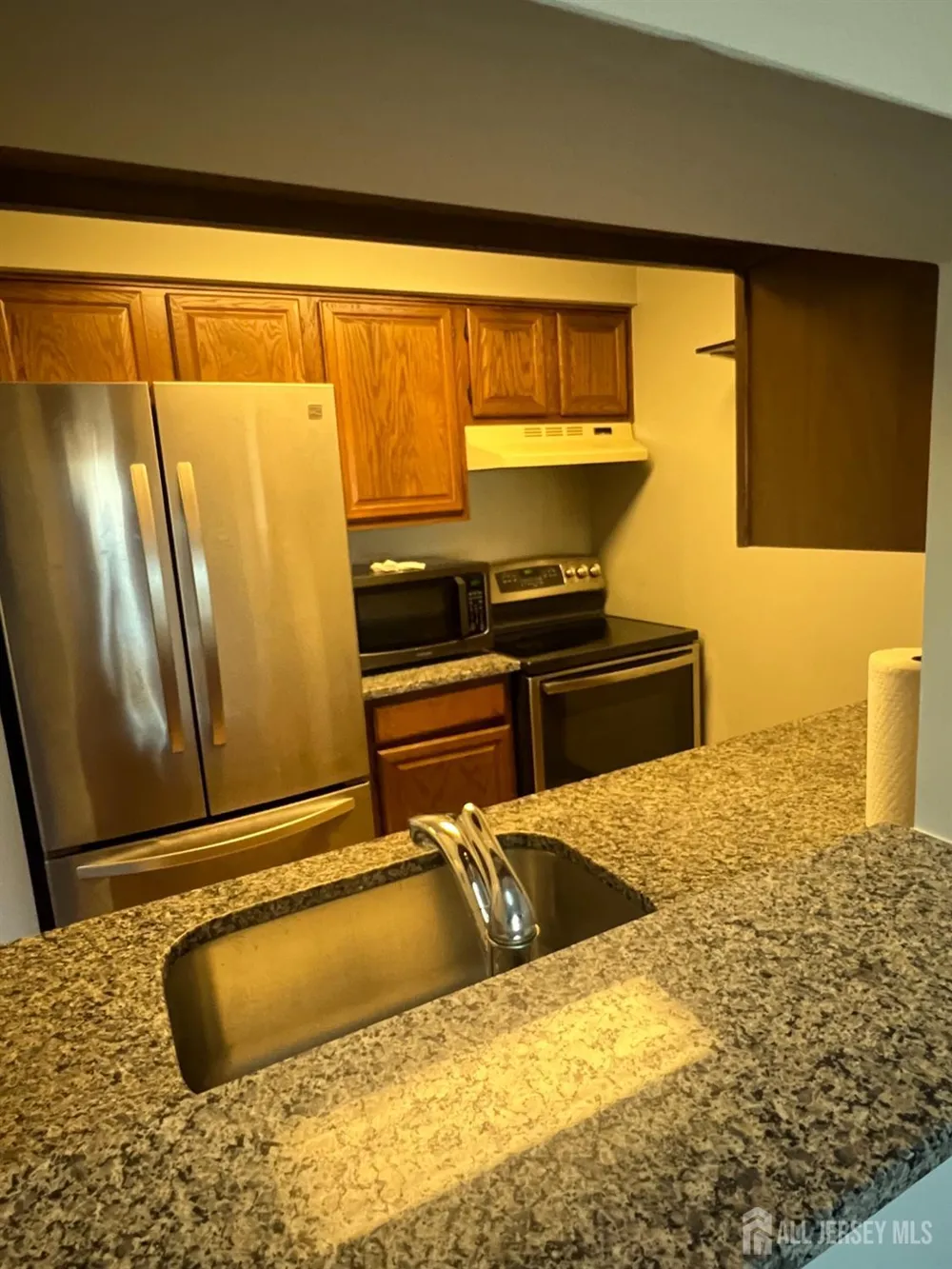 1315 Ravens Crest Drive Plainsboro, NJ 08536