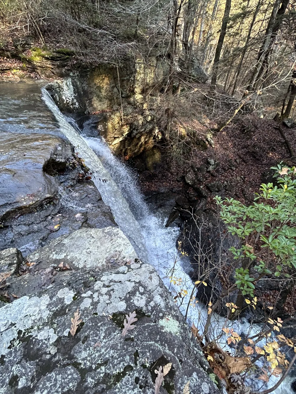58 Laurels Trails Rd Monteagle, TN 37356