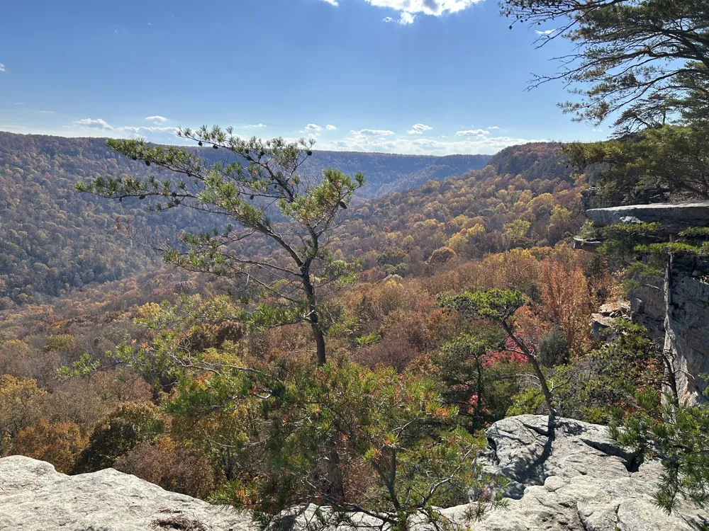 58 Laurels Trails Rd Monteagle, TN 37356