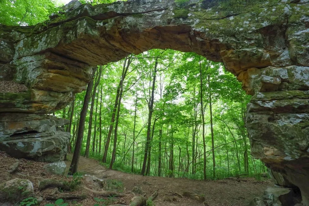 58 Laurels Trails Rd Monteagle, TN 37356