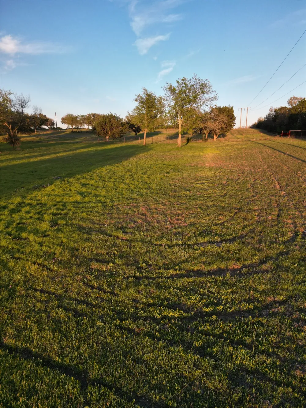 1019 Oak Bend Lane Weatherford, TX 76088