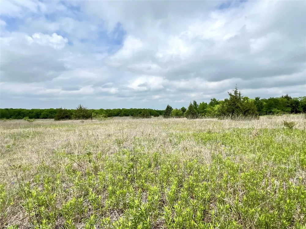 FM 85 Ennis, TX 75119