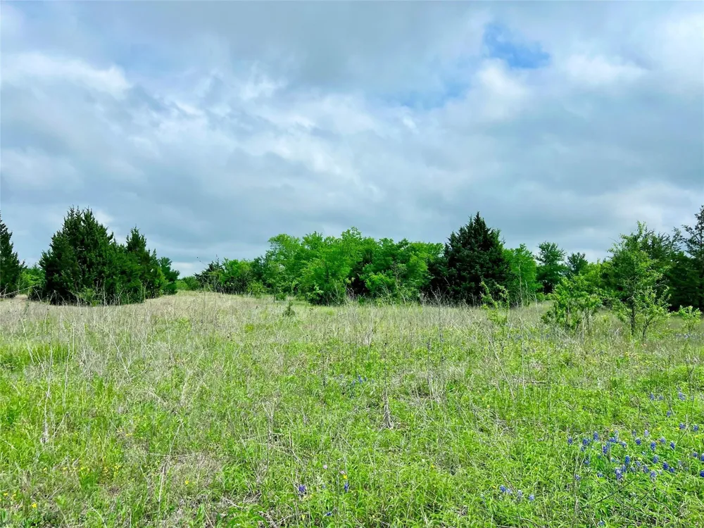 FM 85 Ennis, TX 75119
