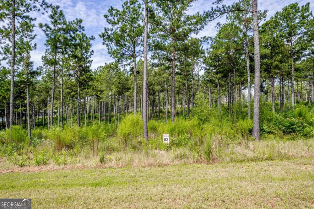 302 Wind Rock RDG Milledgeville, GA 31061