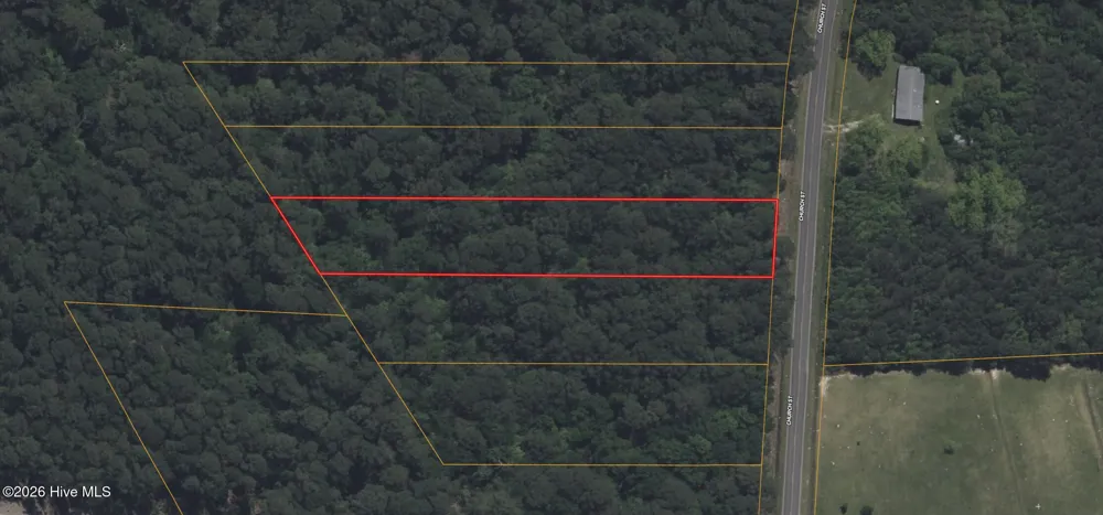 1 Church Willard, NC 28478