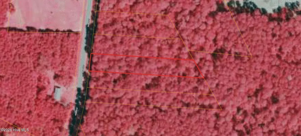1 Church Willard, NC 28478