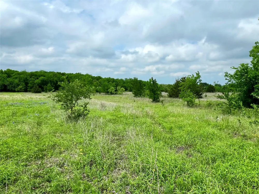 FM 85 Ennis, TX 75119