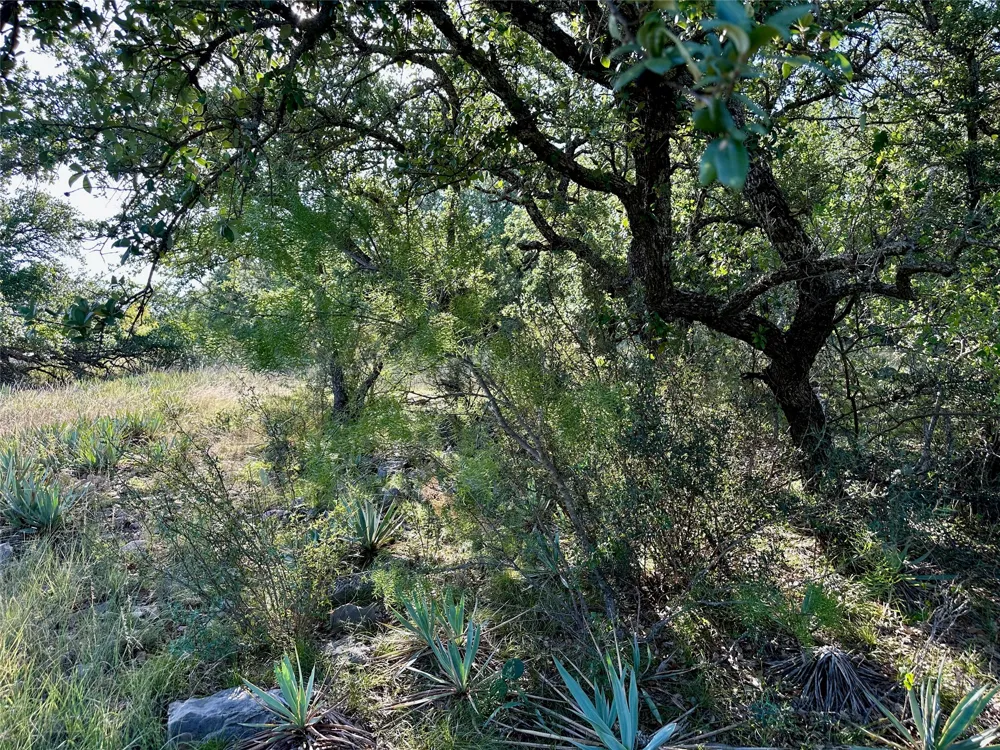 825 Sextant Circle Brownwood, TX 76801