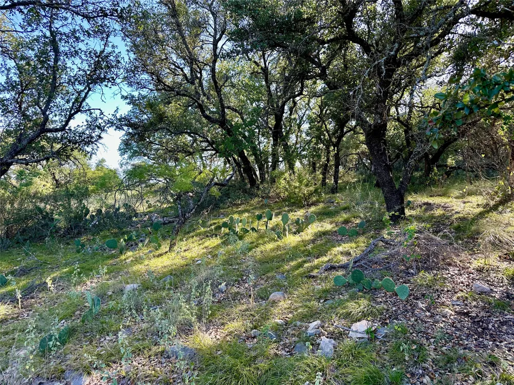 825 Sextant Circle Brownwood, TX 76801