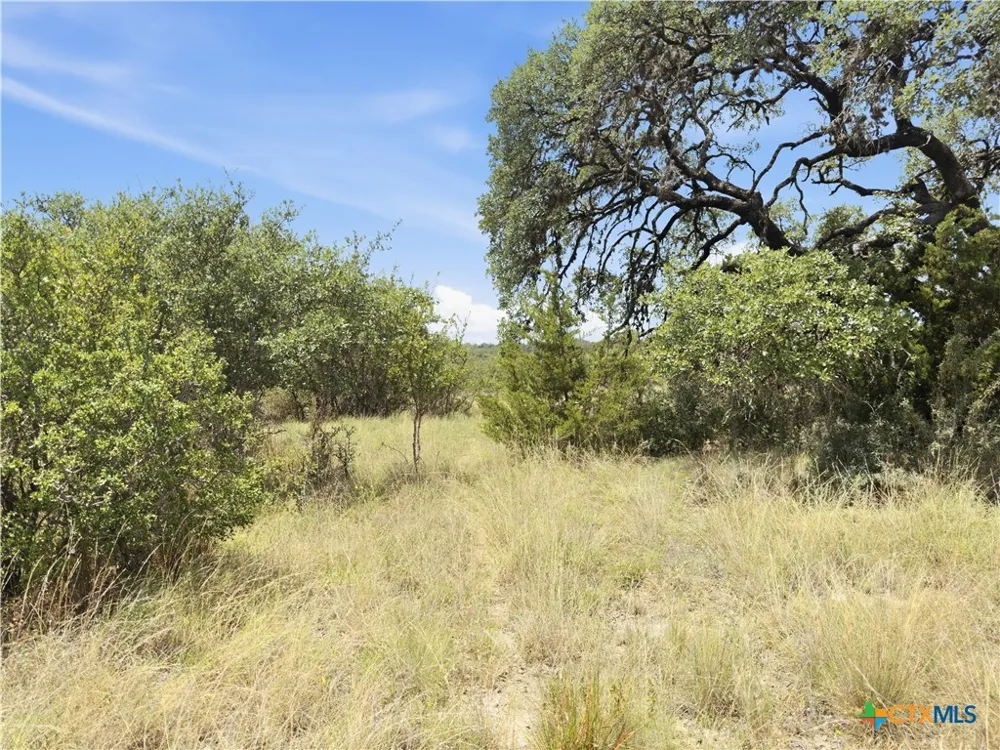 963 Summit Ridge Trail Johnson City, TX 78636