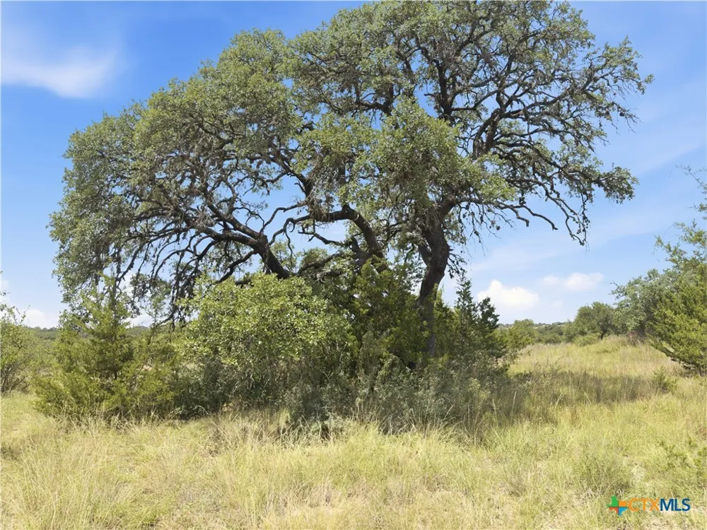 963 Summit Ridge Trail Johnson City, TX 78636