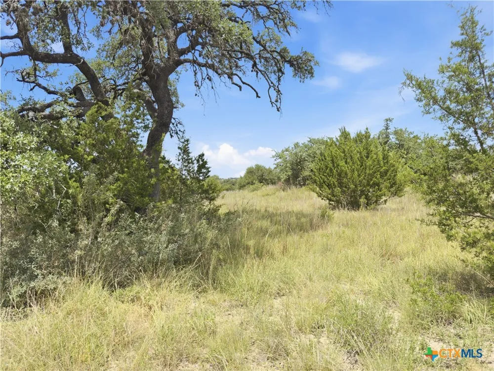 963 Summit Ridge Trail Johnson City, TX 78636