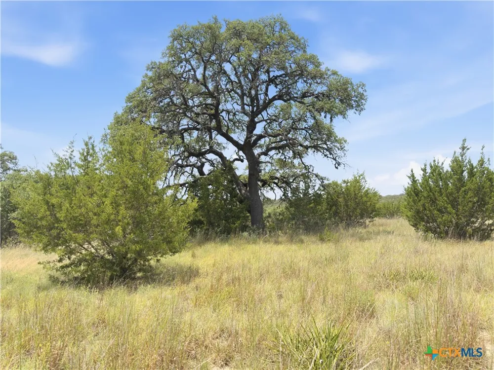 963 Summit Ridge Trail Johnson City, TX 78636