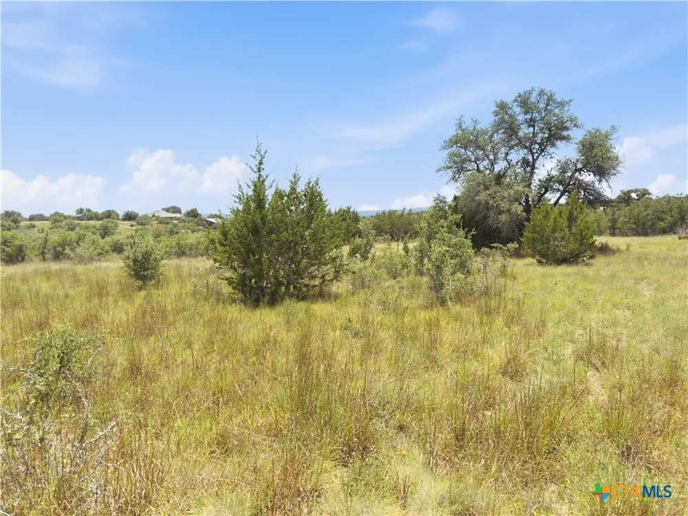 963 Summit Ridge Trail Johnson City, TX 78636