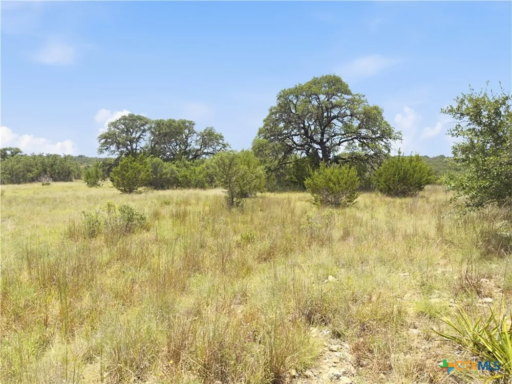 963 Summit Ridge Trail Johnson City, TX 78636