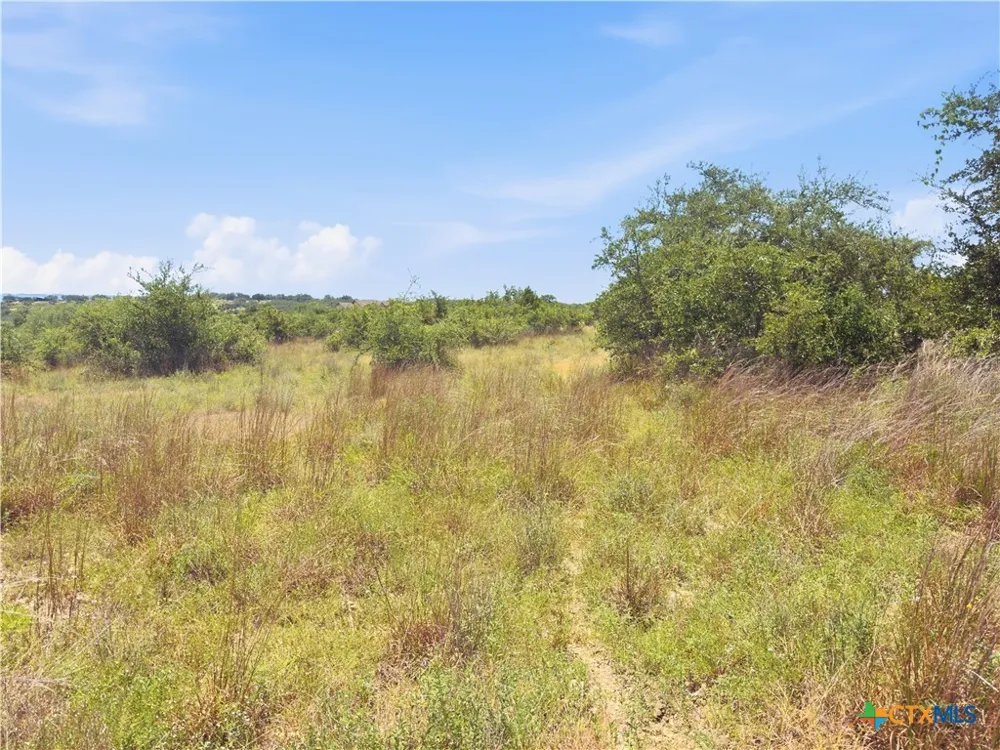 963 Summit Ridge Trail Johnson City, TX 78636