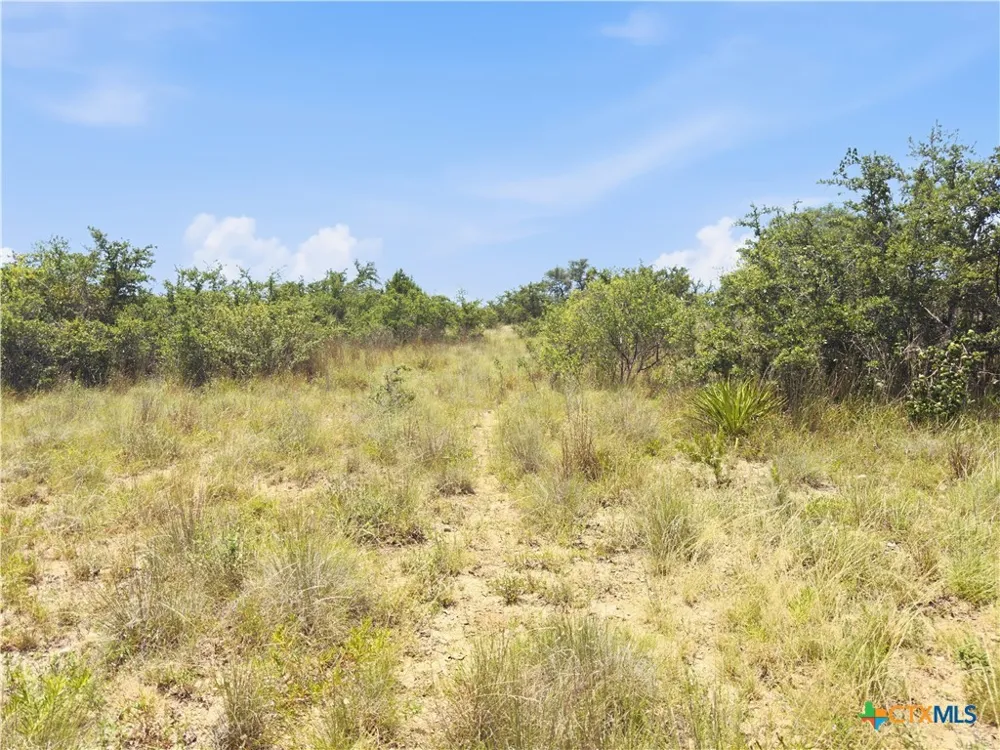963 Summit Ridge Trail Johnson City, TX 78636