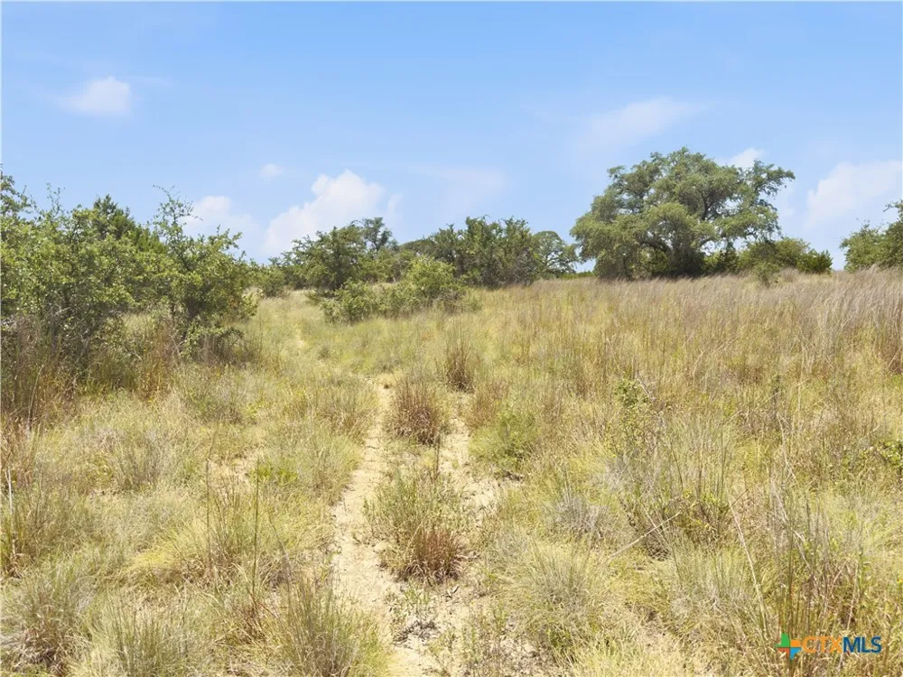 963 Summit Ridge Trail Johnson City, TX 78636