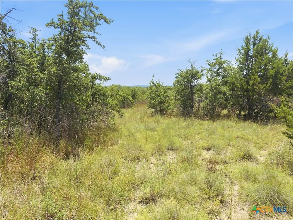 963 Summit Ridge Trail Johnson City, TX 78636