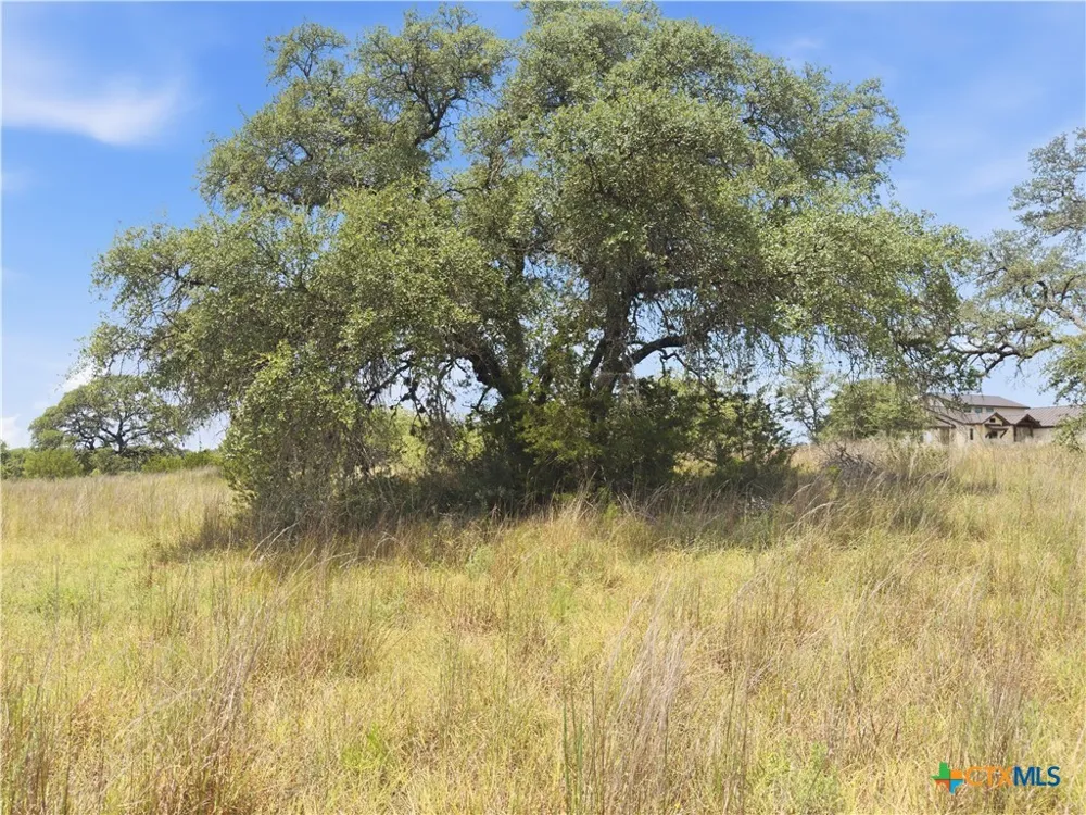 963 Summit Ridge Trail Johnson City, TX 78636