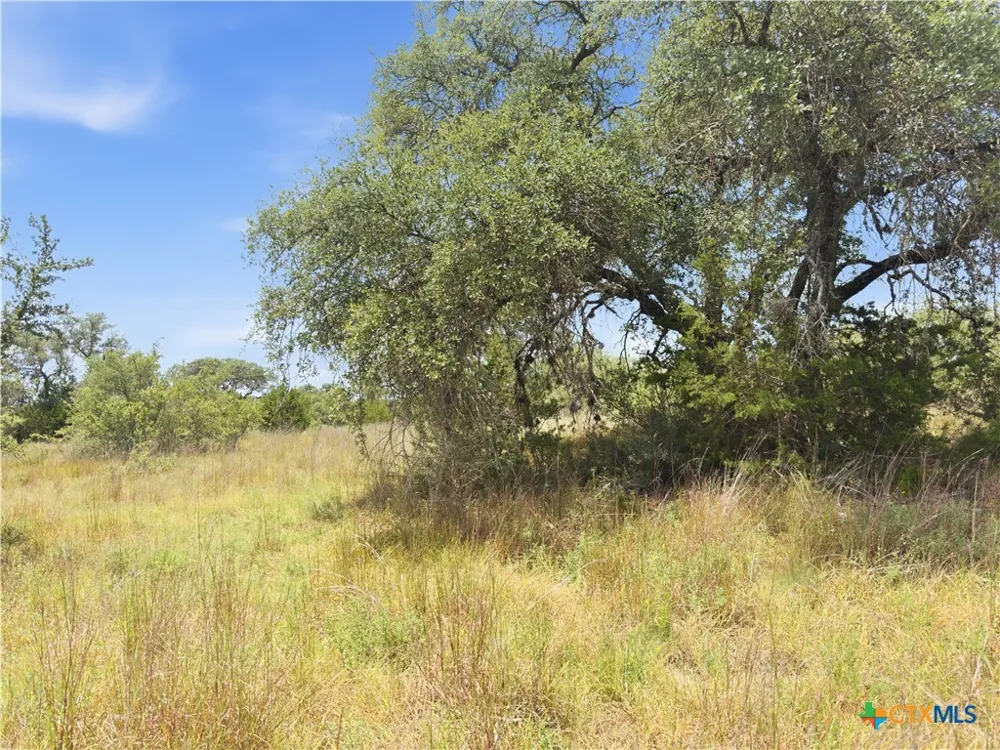 963 Summit Ridge Trail Johnson City, TX 78636