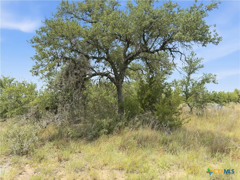 963 Summit Ridge Trail Johnson City, TX 78636