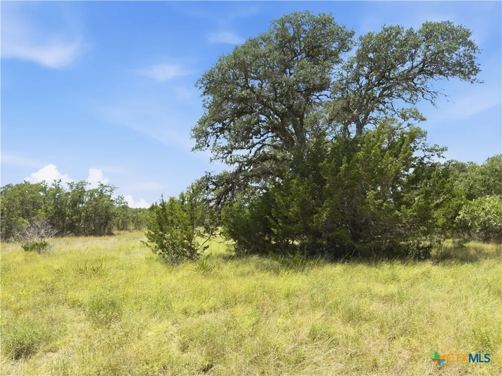 963 Summit Ridge Trail Johnson City, TX 78636