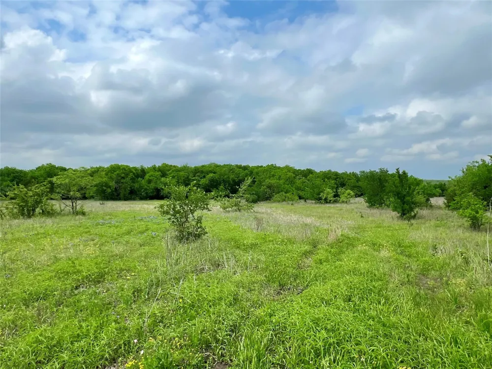 Fm-85 Ennis, TX 75119