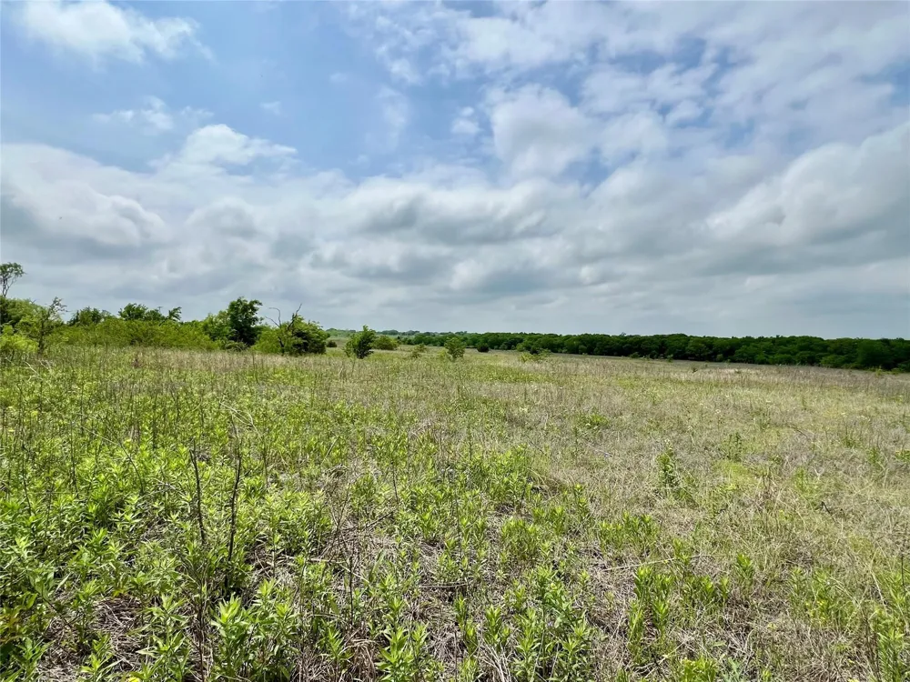 Fm-85 Ennis, TX 75119