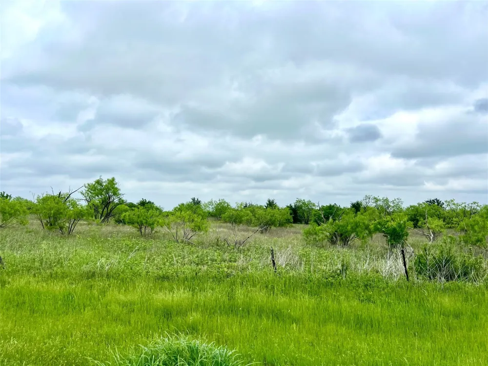 Fm-85 Ennis, TX 75119