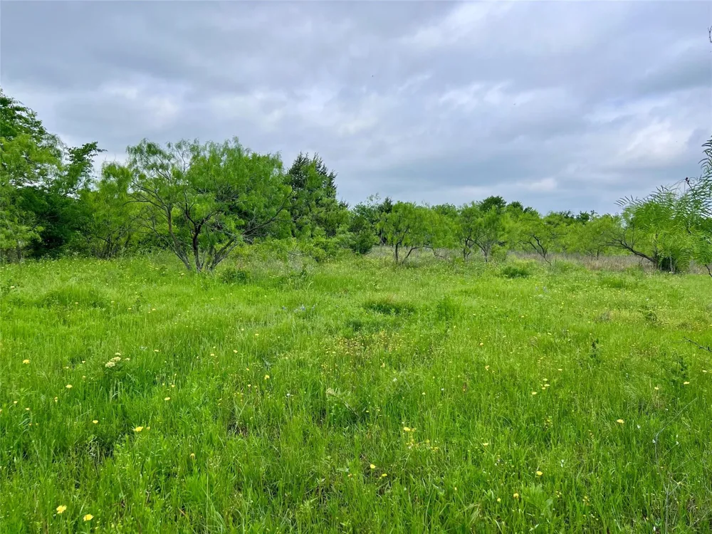 Fm-85 Ennis, TX 75119