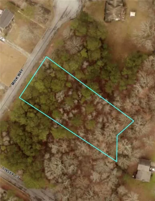3032 Mink Way Snellville, GA 30039