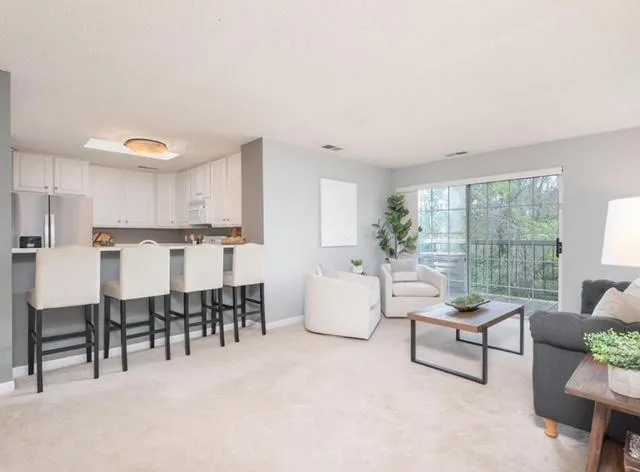 6165 Chasewood Parkway #202 Minnetonka, MN 55343