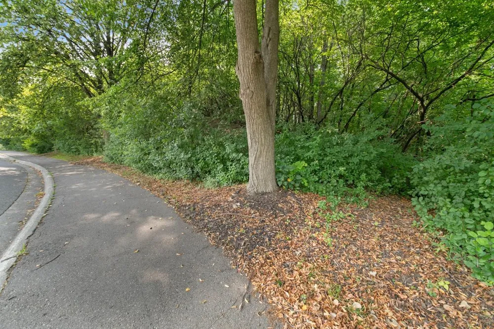 6165 Chasewood Parkway #202 Minnetonka, MN 55343