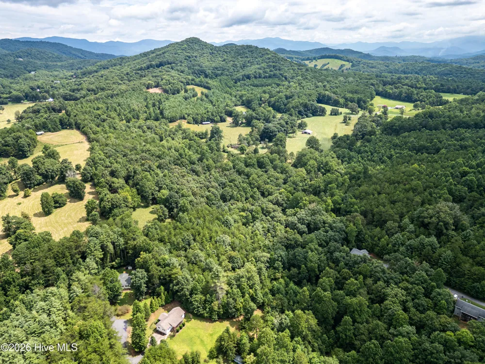 90 Copperhill Church Lane Warne, NC 28909