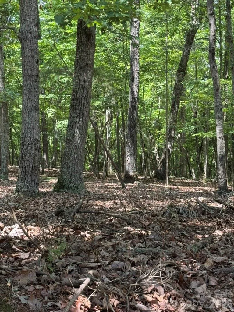 0 Cottonstone Lane Troy, NC 27371